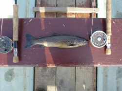 Rossinver Fishery Leitrim Ireland Holiday